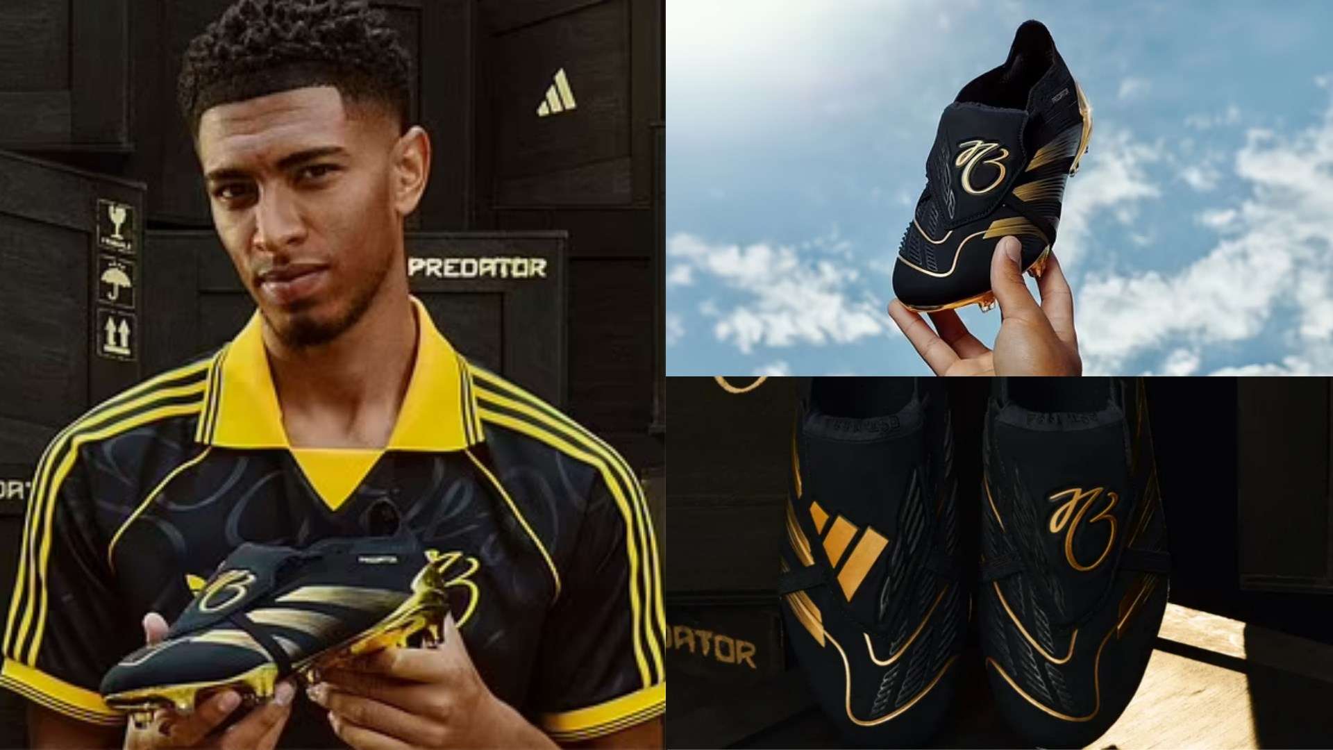 在欣赏体育 在欣赏体育