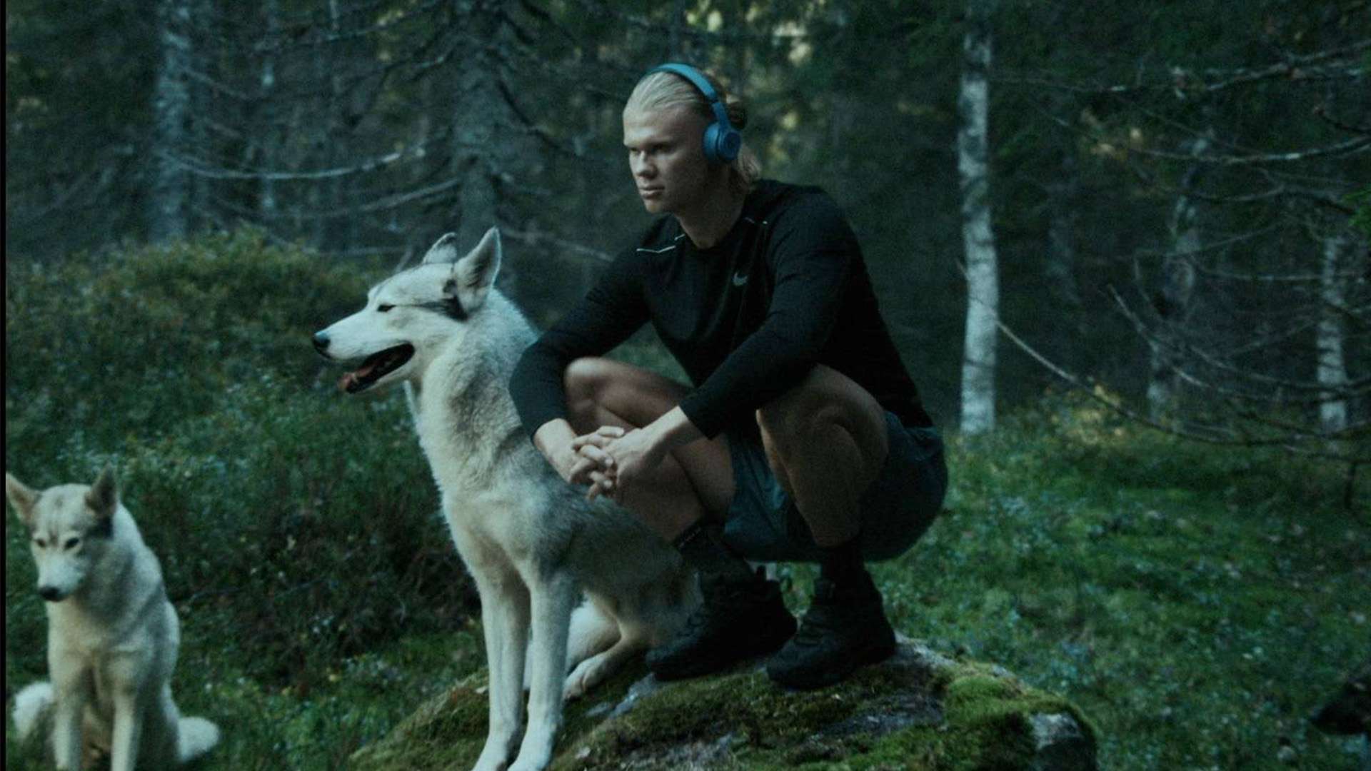 心中的英雄 心中的英雄